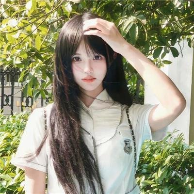 礼貌社会